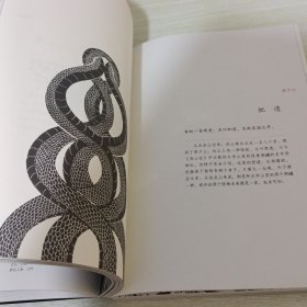 山海经 精美绘本：美到窒息的精美插画，诚制独一无二的“山海精”