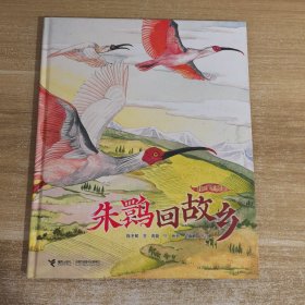 我的飞鸟朋友：朱鹮回故乡