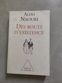 DES BOUTS D`EXISTENCE
