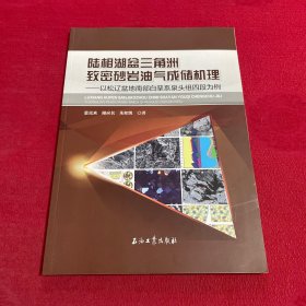 陆相湖盆三角洲致密砂岩油气成储机理：以松辽盆地南部白垩系泉头组为例