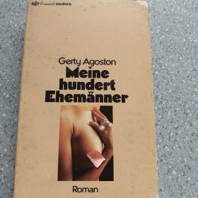 Meine hundert Ehemänner德语小说