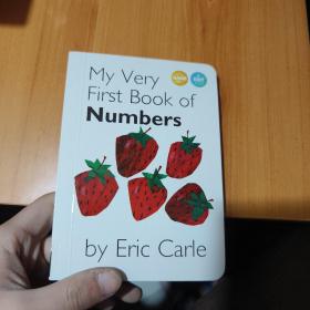 my very first book of numbers