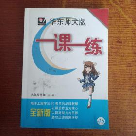 一课一练：九年级化学（全一册 华东师大版 全新版）