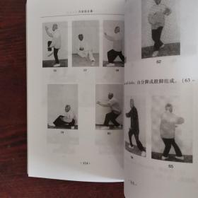 内家综合拳