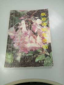 歇后语钢笔字帖
