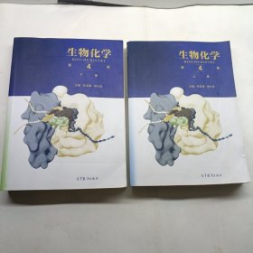 生物化学（第4版）上下 轻微水印 有字迹划线