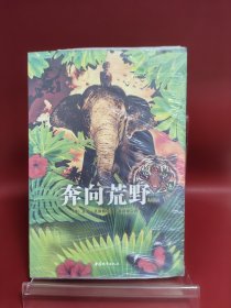 奔向荒野