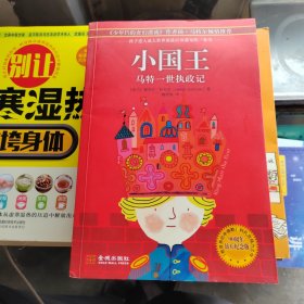 小国王：马特一世执政记