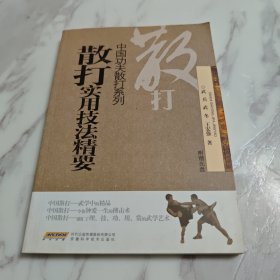 中国功夫散打系列：散打实用技法精要