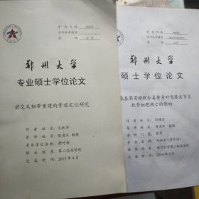 郑州大学 硕士学位论文