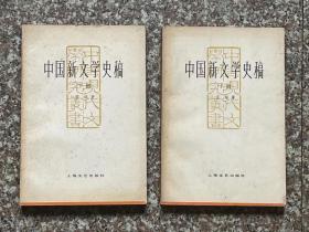 中国新文学史稿（上下册）
