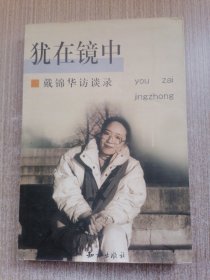 犹在镜中 戴锦华访谈录