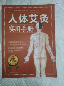 人体艾灸实用手册 大字版