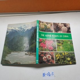 THE ALPINE PLANTS OF CHINA