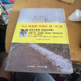 换一种方式飞行