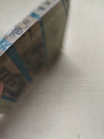 跨过苏伊士运河
