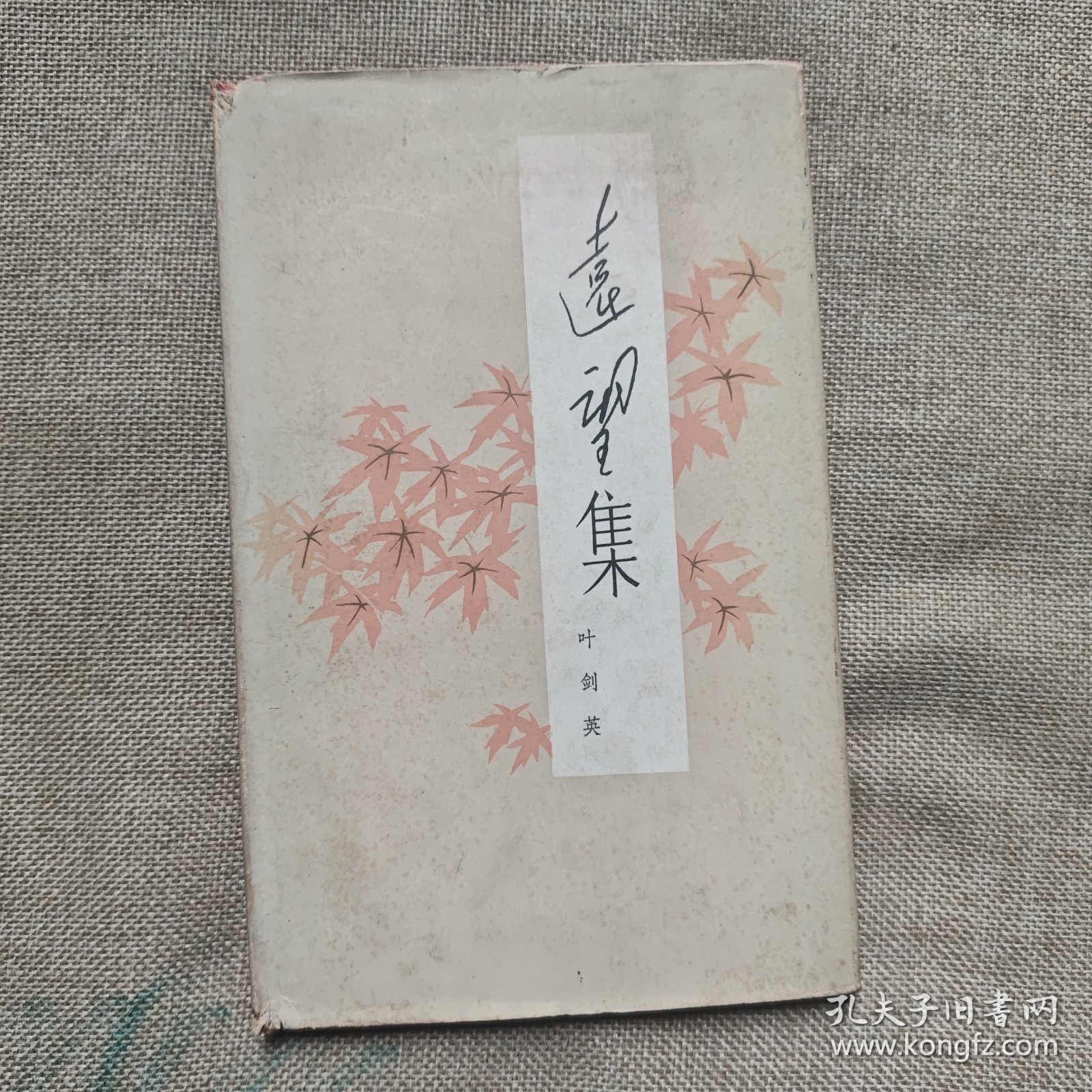 远望集