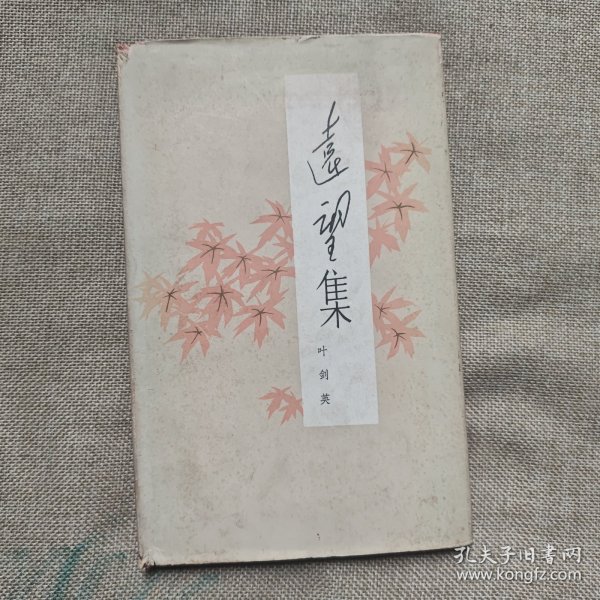 远望集