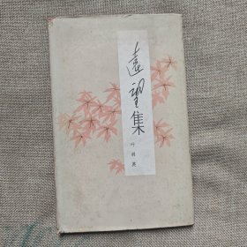 远望集