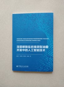 深层碳酸盐岩缝洞型油藏开发中的人工智能技术