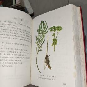 江西草药（全彩图）