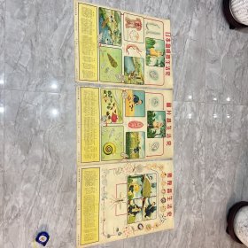 1952年上海新亚书店出版-章育青绘【人体寄生虫生活史图】4张合售（第一、二、四、八图）