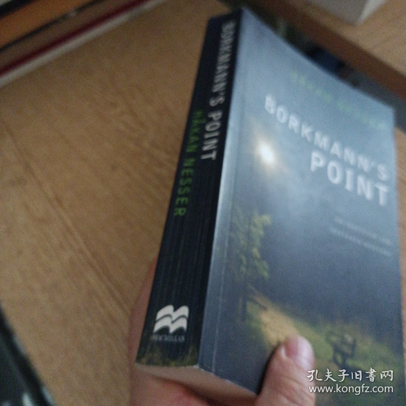 Borkmann's Point : An Inspector Van Veeteren Mystery（几处脱裂）——bb3(dg)