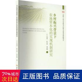 乡村振兴背景下农地资本化的实现机制研究