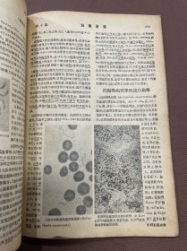 科学画报 第十四卷第十期  封面積石山风景线图片（内有庄学本的積石山风景线一文，内写到積石山在青海东南，四川称俄洛，青海称果洛，黄河九曲在山前开始作第一曲，其主峰藏音译名-阿尼玛卿，内有積石山附近的气象高度，積石山所在地俄洛的山脉河流，俄洛的部落，俄洛人的生活婚丧俗礼，物产与贸易，有图片-番帐房与蒙古包，俄洛高原猎队，積石山之秋等），博物院-人类的遗传与优生，探险团-毕加德氏的探海球等