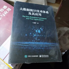 大数据统计技术体系及其应用