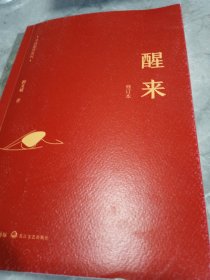 寻找安详系列：醒来（修订版）