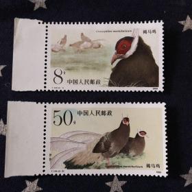 邮票．T134（2全）褐马鸡（影写版）