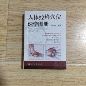 人体经络穴位速学图册