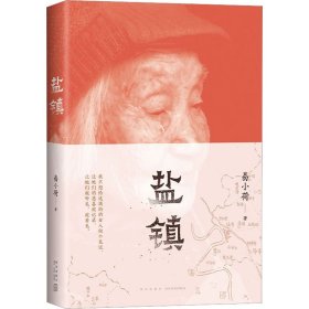 【正版库存书】中国当代纪实文学：盐镇