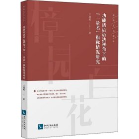 功能話語語法視角下的