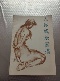 人体线条素描