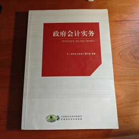 政府会计实务
