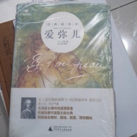 爱弥儿（经典超译本）