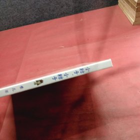 小粽子，小粽子