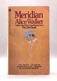 1976年版 艾丽斯·沃克 《梅丽迪安》 N Meridian by Alice Walker （美国黑人文学）英文原版书