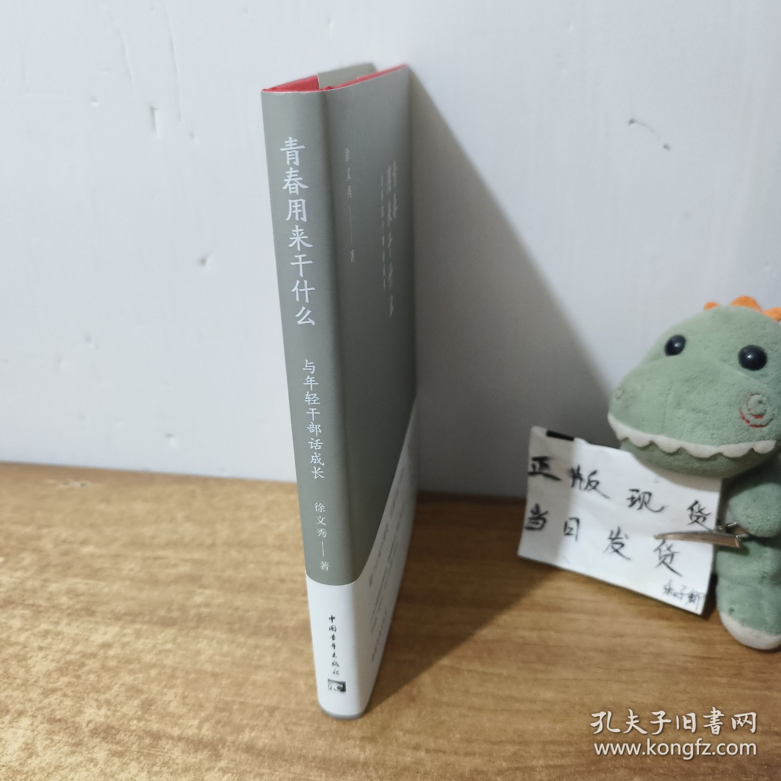 青春用来干什么 与年干部话成长 政治理论 徐文秀