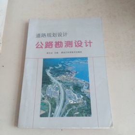 道路规划设计 公路勘测设计