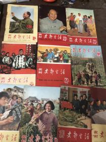 农村支部生活（1966年）10本。边上打孔