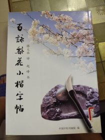 百咏梨花小楷字帖