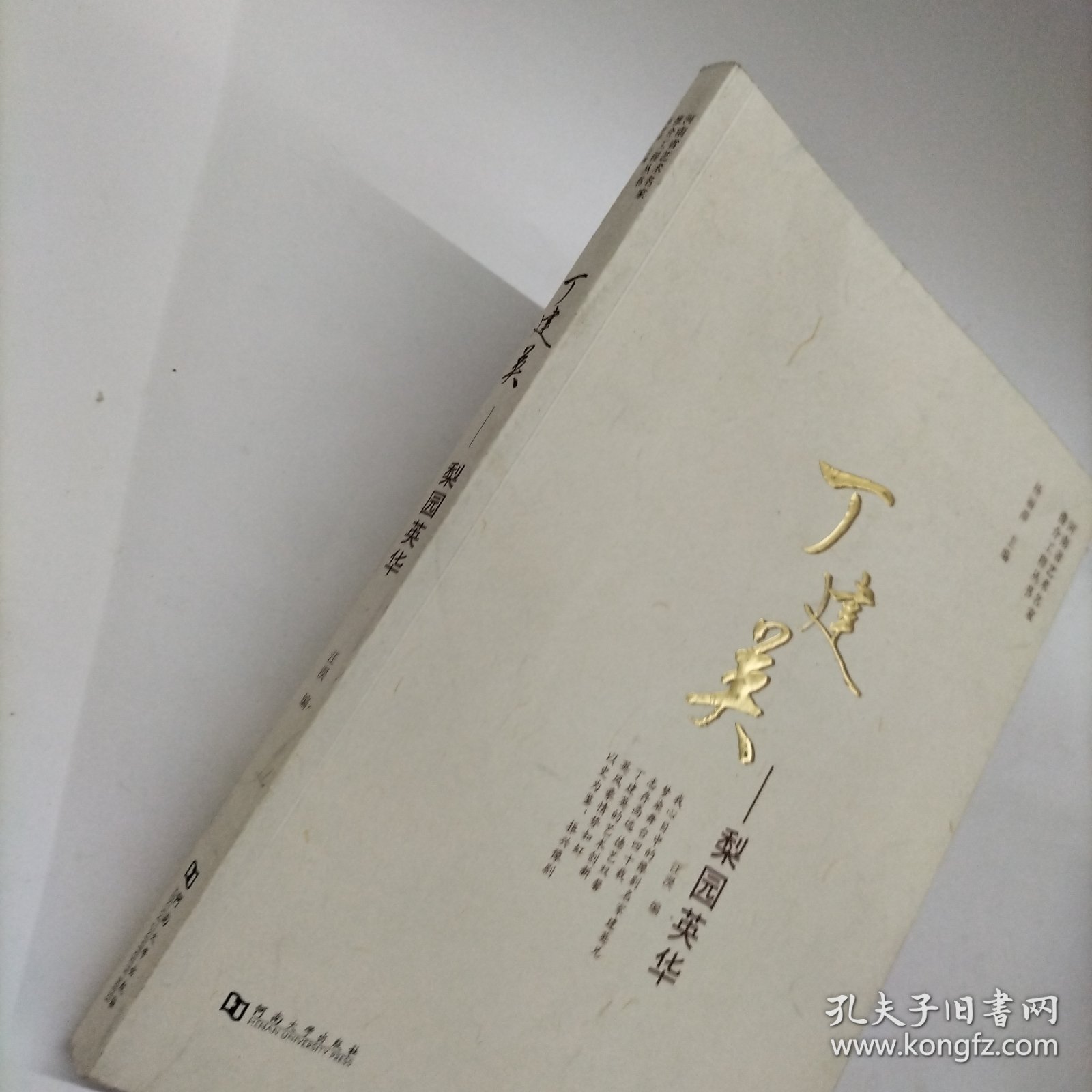 丁建英--梨园英华 汪淏河南大学出版