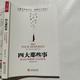 四大那些事：四大会计师事务所工作生活实录