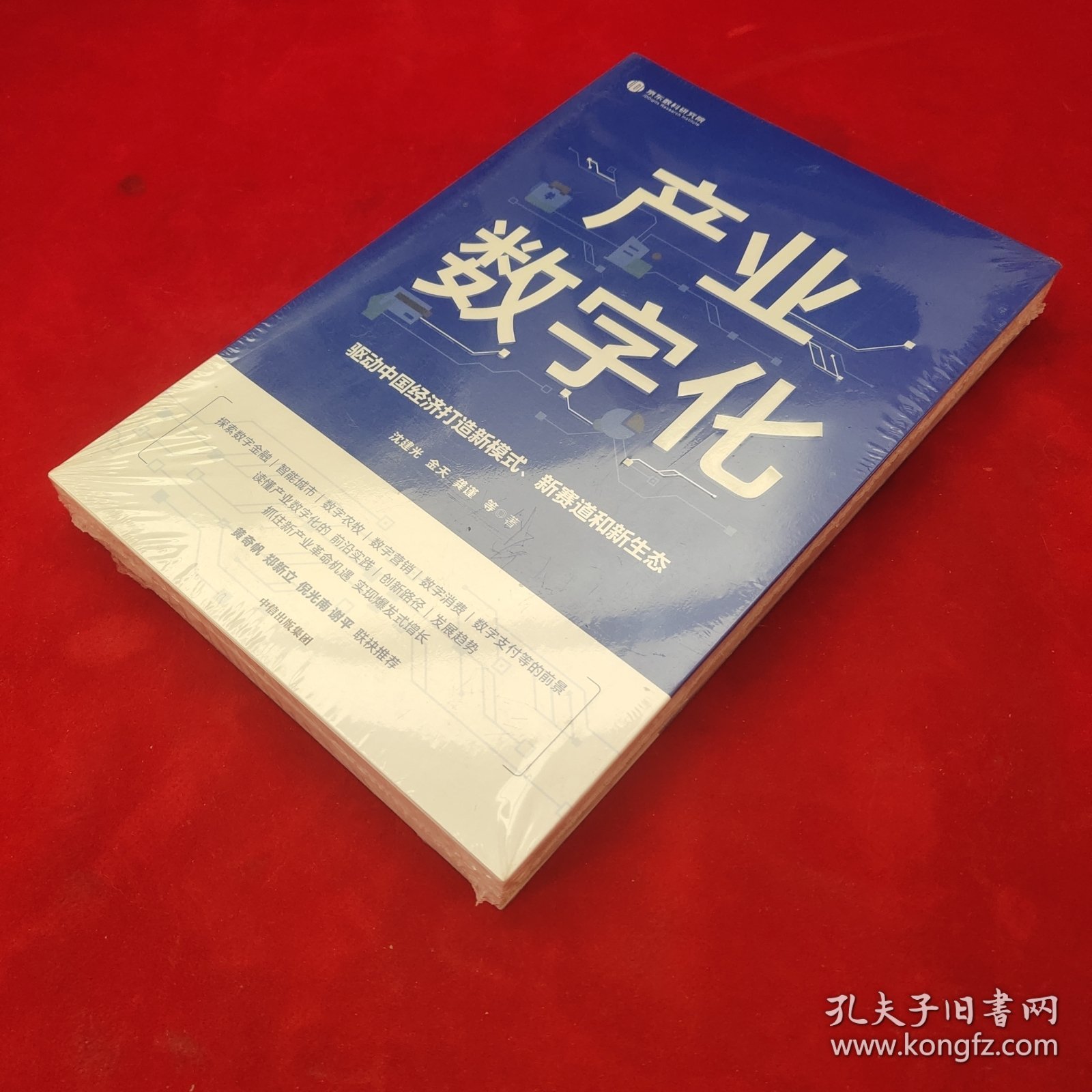 产业数字化驱动中国经济打造新模式新赛道和新生态沈建光金天龚谨杨芳冯永昌著