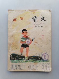 五年制小学课本：语文（第六册）