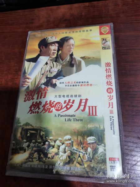 激情燃烧的岁月III 2DVD