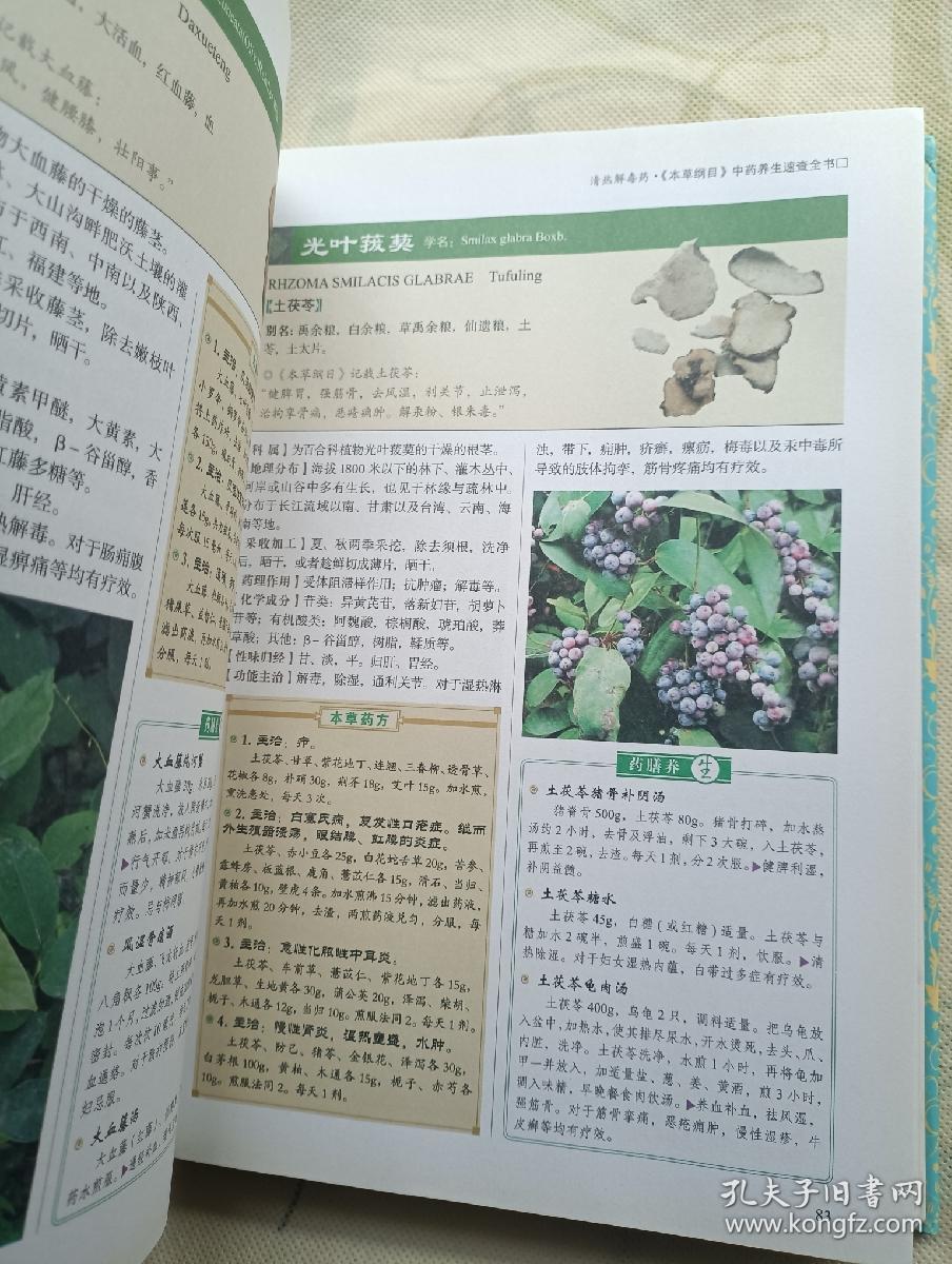 本草纲目中药养生速查全书